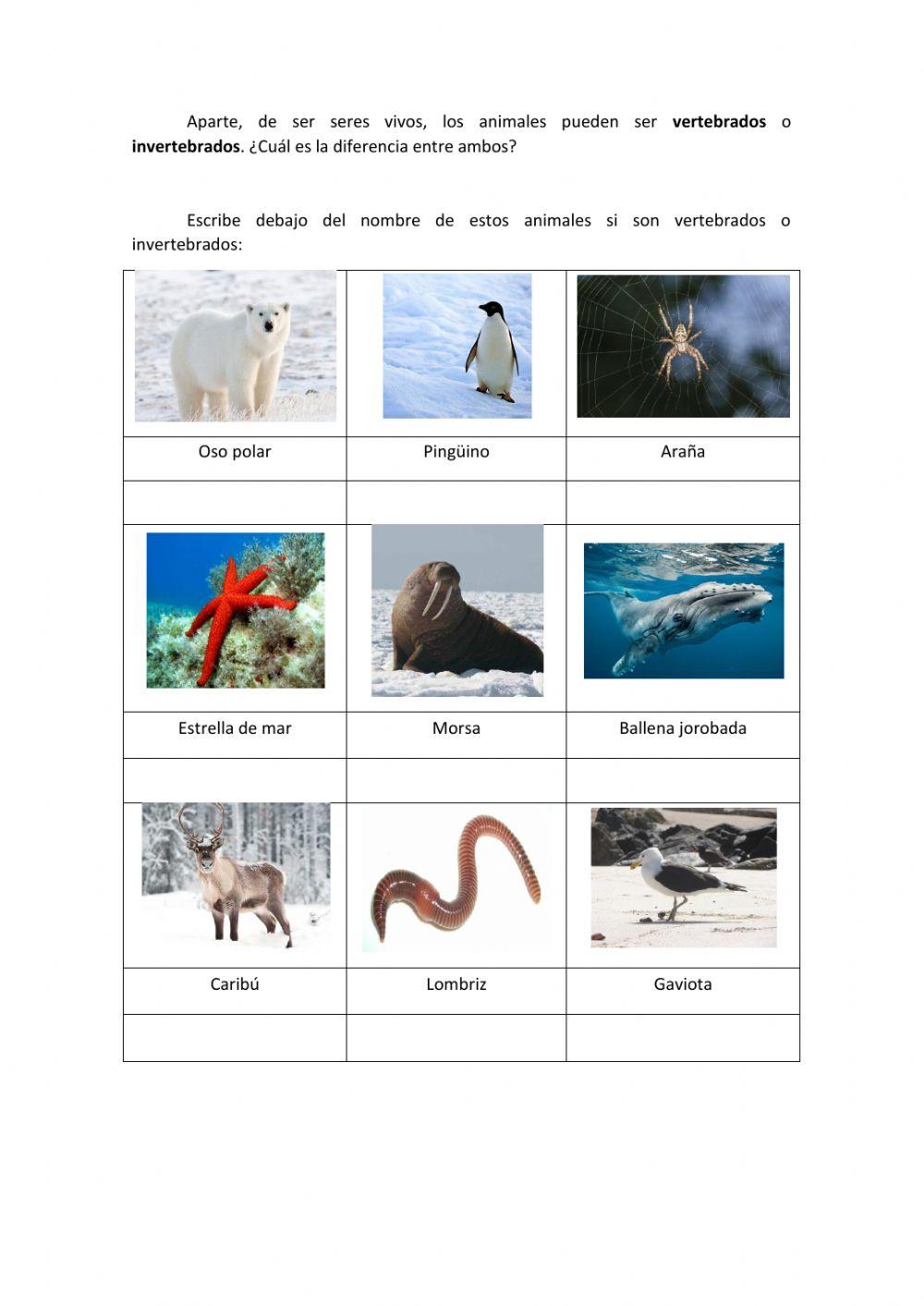 Seres vivos - vertebrados