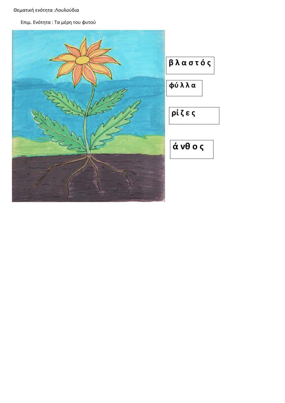 Μαθαινω τα μερη του λουλουδιου -ελισαβετ κωνσταντοπουλου