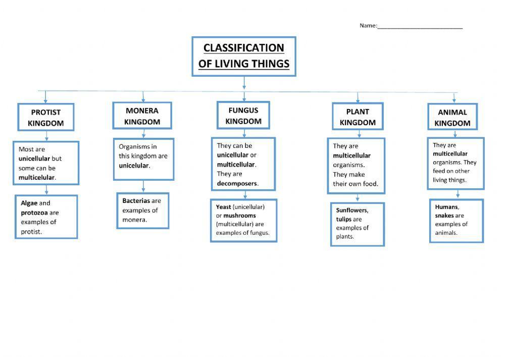 Unit 3 Living Things Classification. Kingdoms