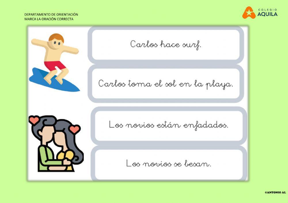 Marca la frase correcta