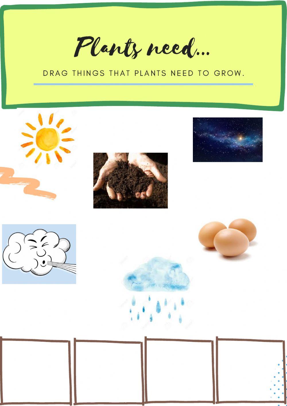 Plants need ProfeBeatriz Live Worksheets