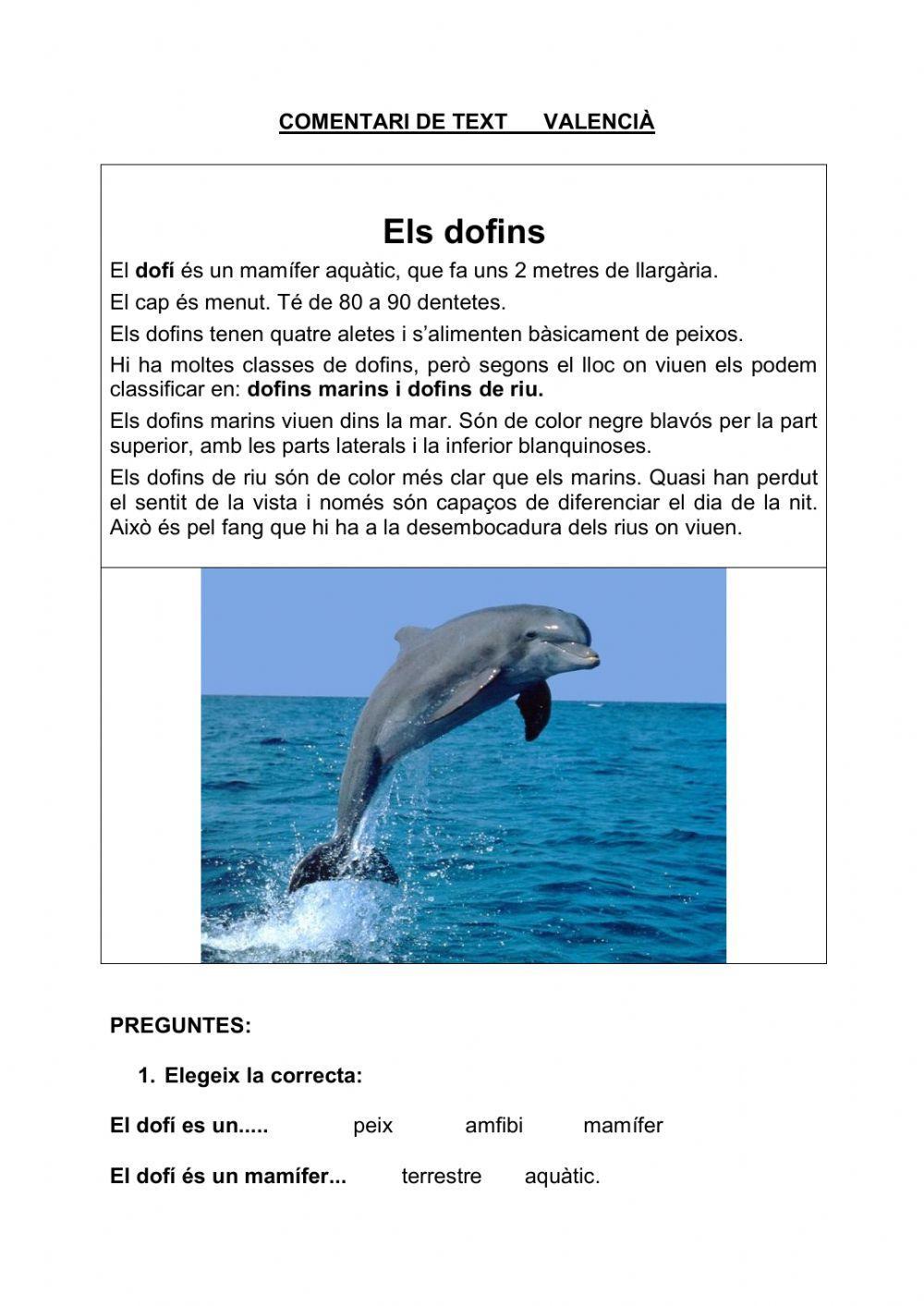 Els dofins