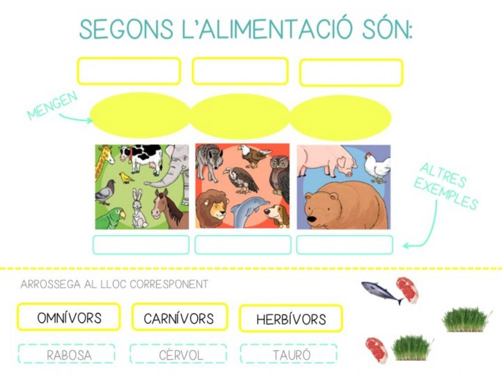 Animals carnívors, herbívors i omnívors