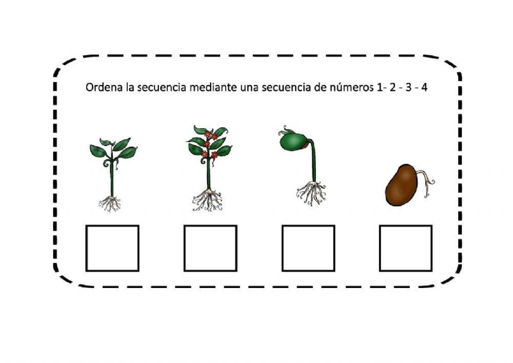 Secuencias temporales