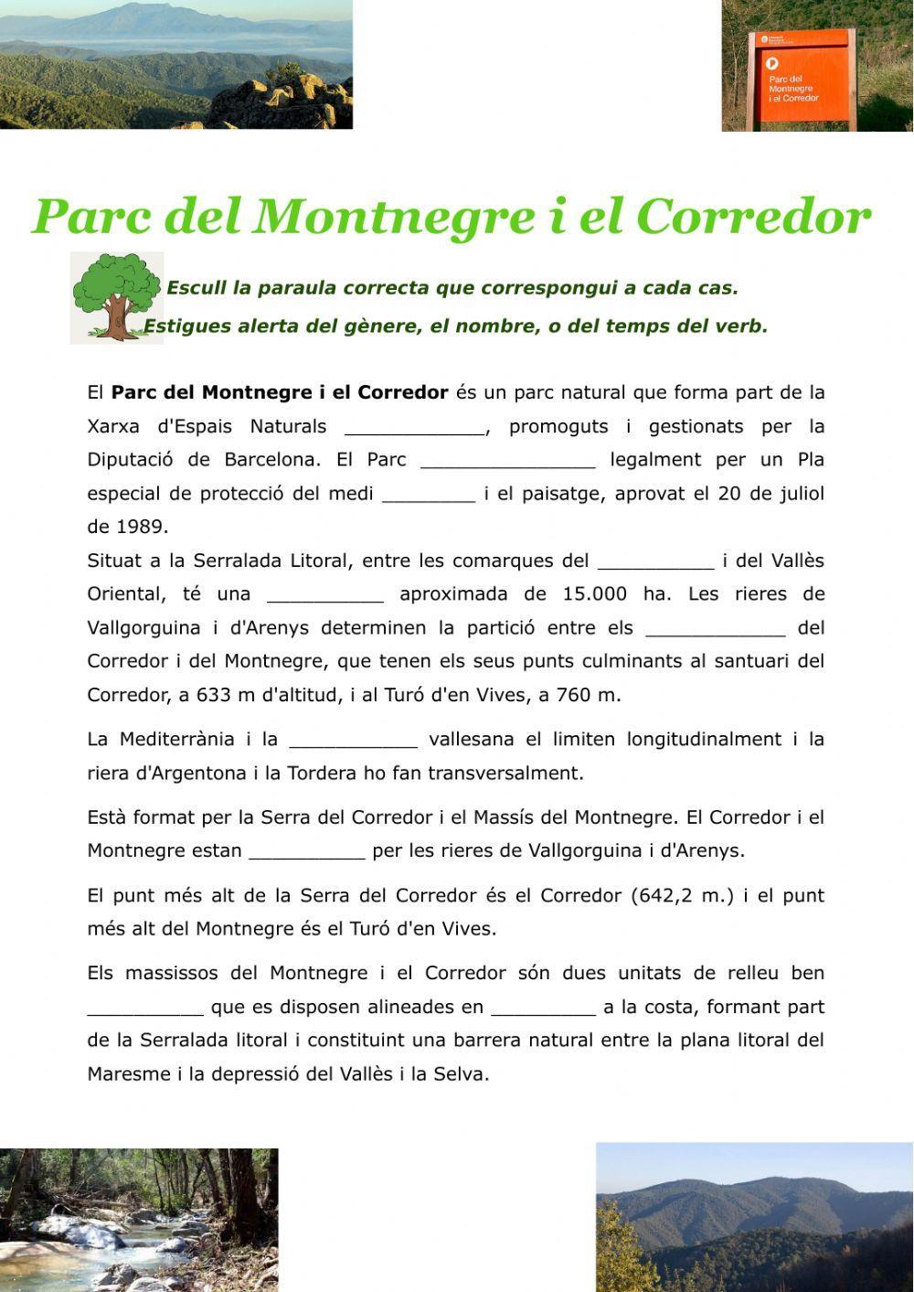 Troba la paraula correcta - Montnegre i Corredor