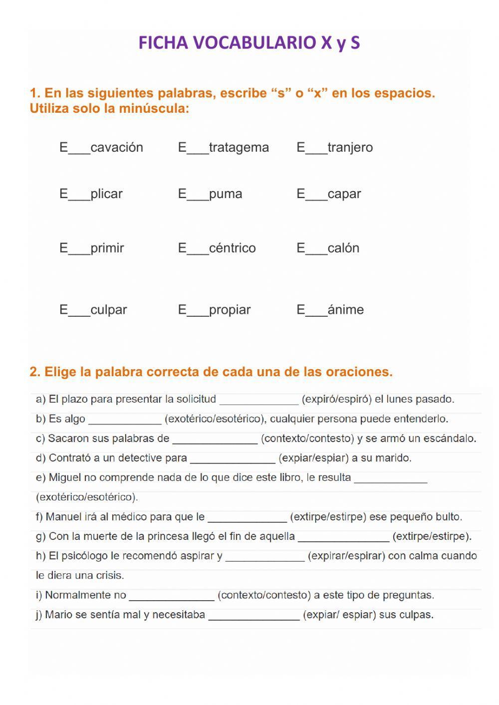 Vocabulario X y S Vocabulario X y S