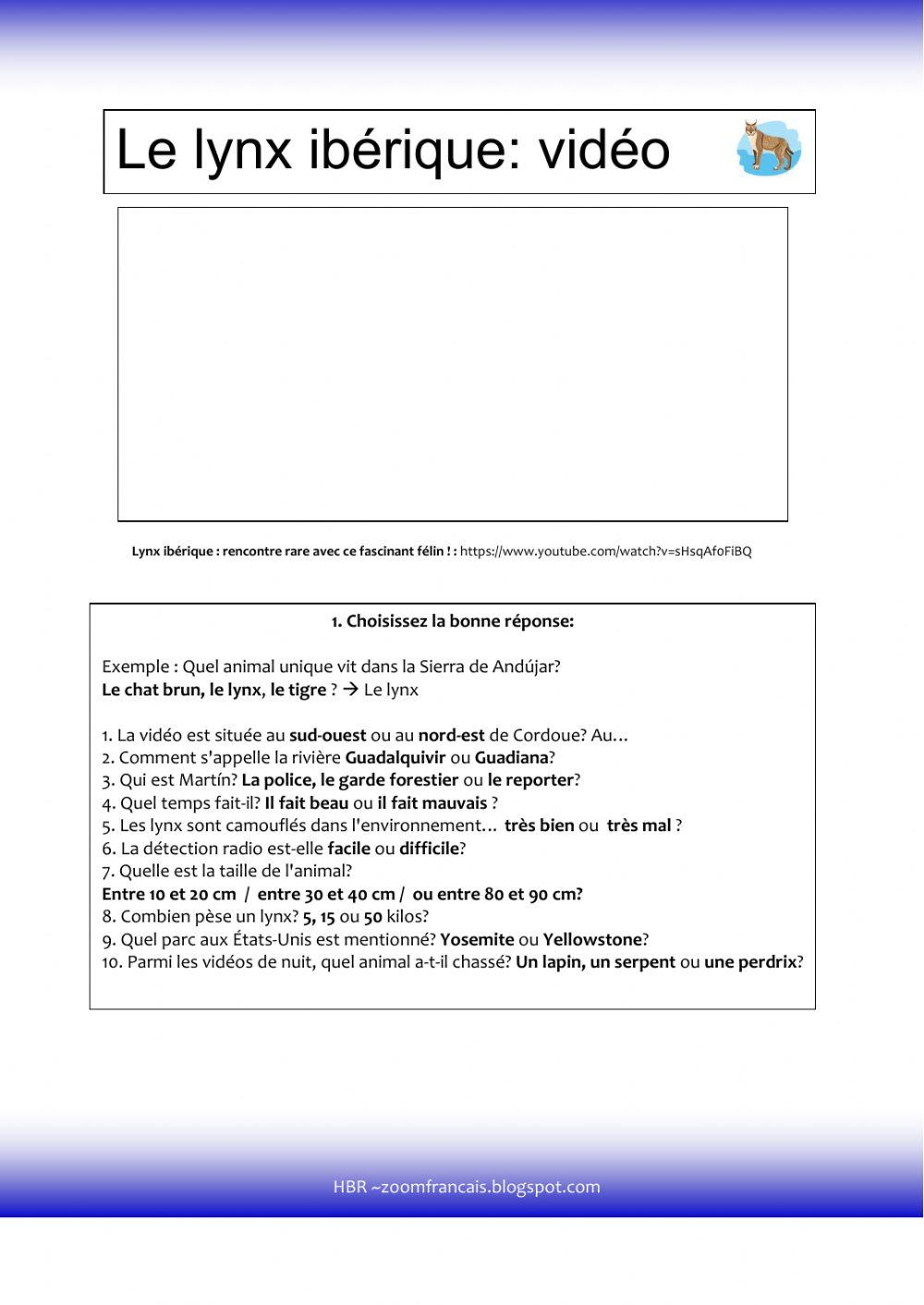 Le lynx ibérqiue (vidéo)