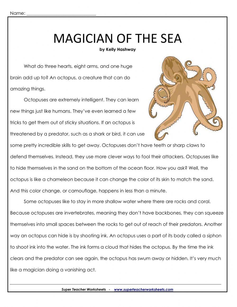 Magician of the Sea