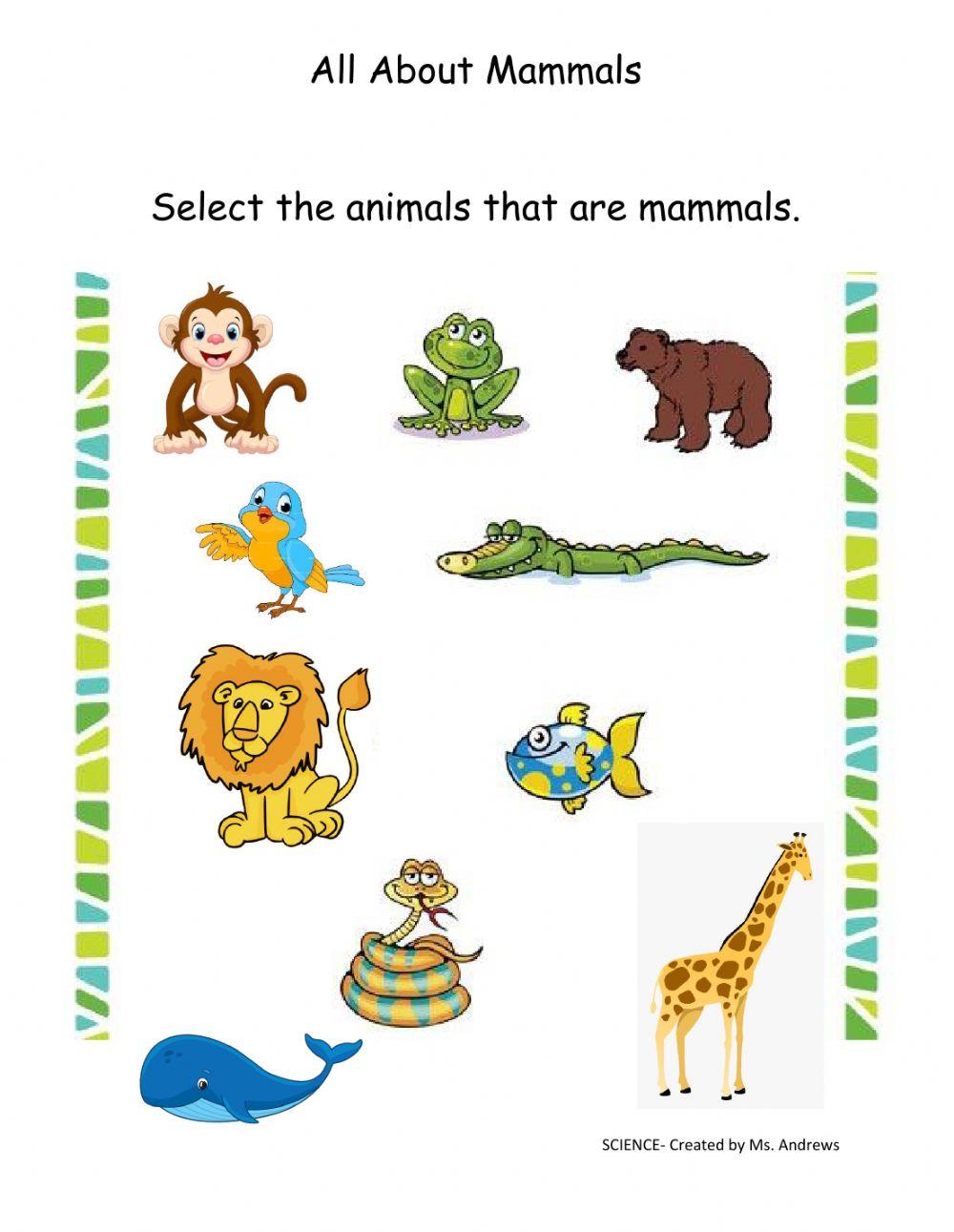 Mammals