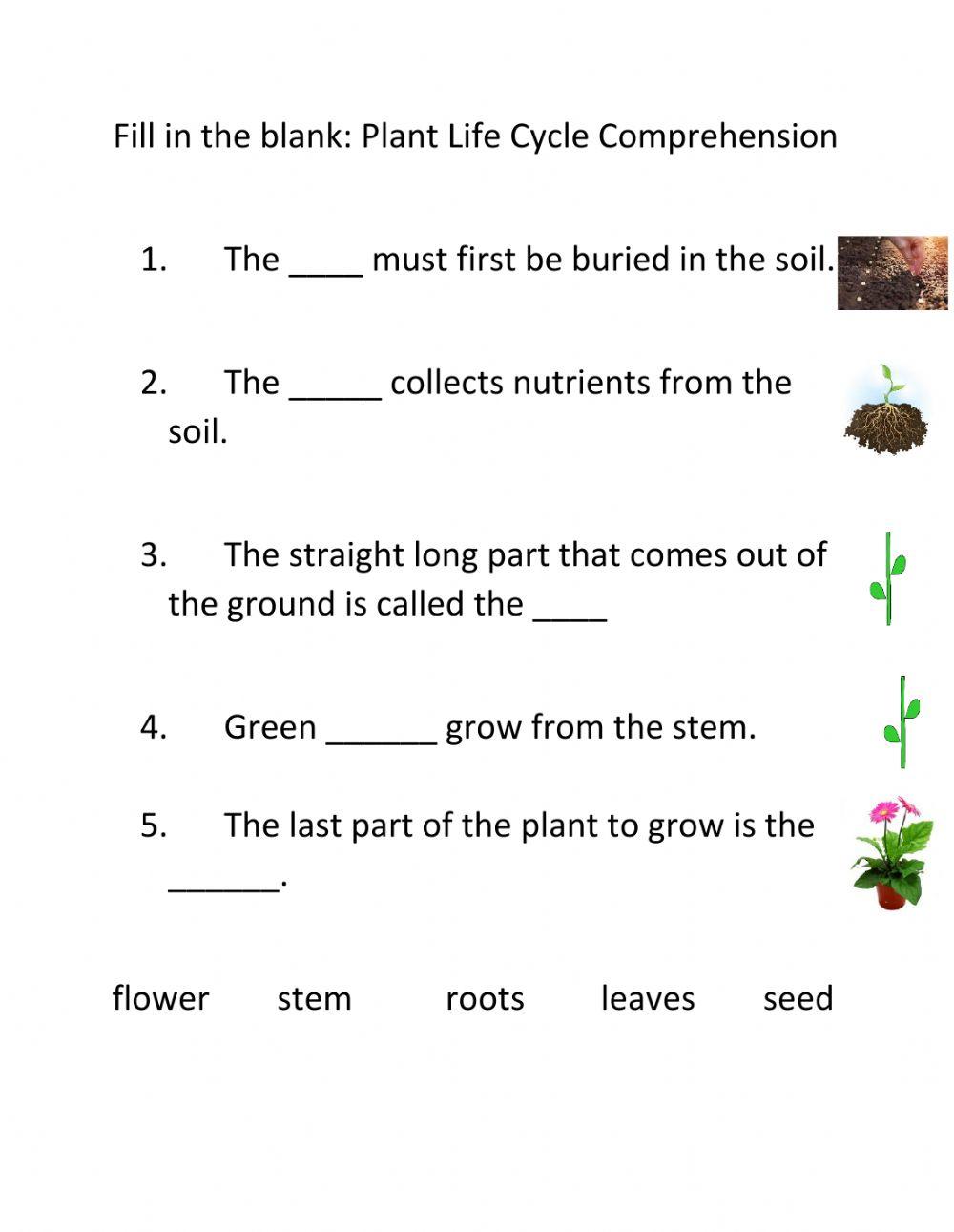 Fill In The Blank Planting Worksheet