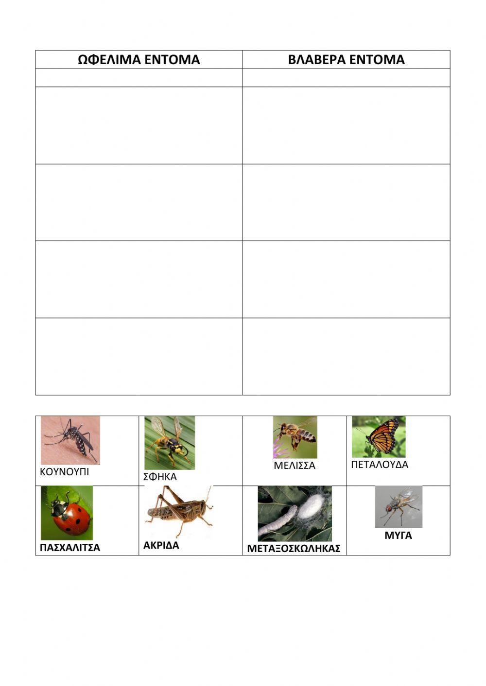 Βλαβερά και ωφέλιμα έντομα