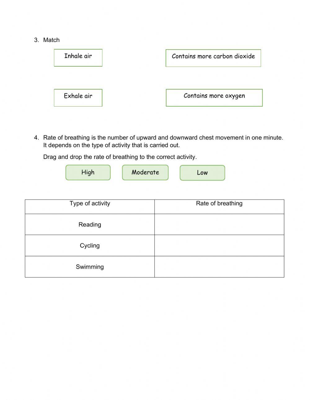 Science Year 4 - Human