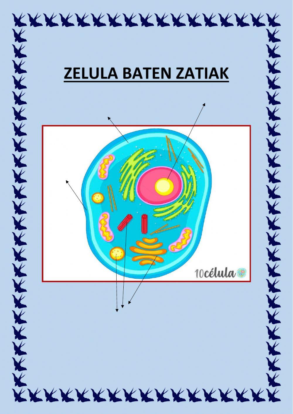 Zelulak