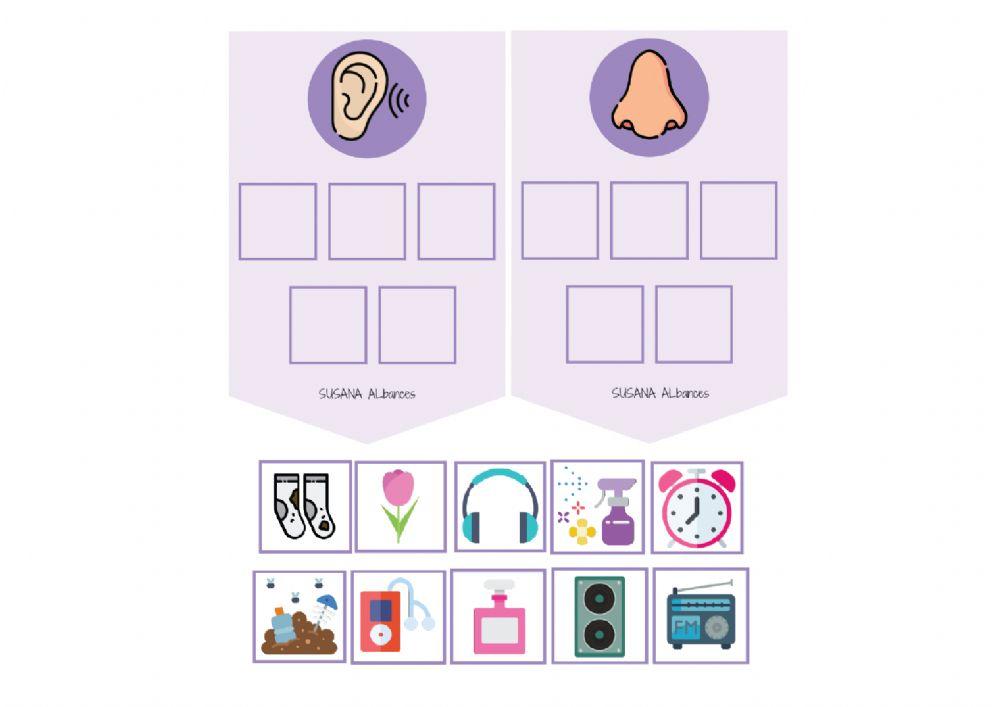 DETECTIVES DE LOS SENTIDOS