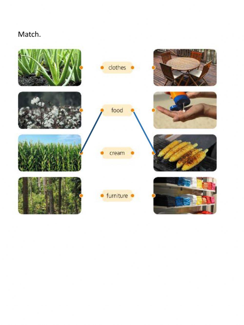 Review plants primero