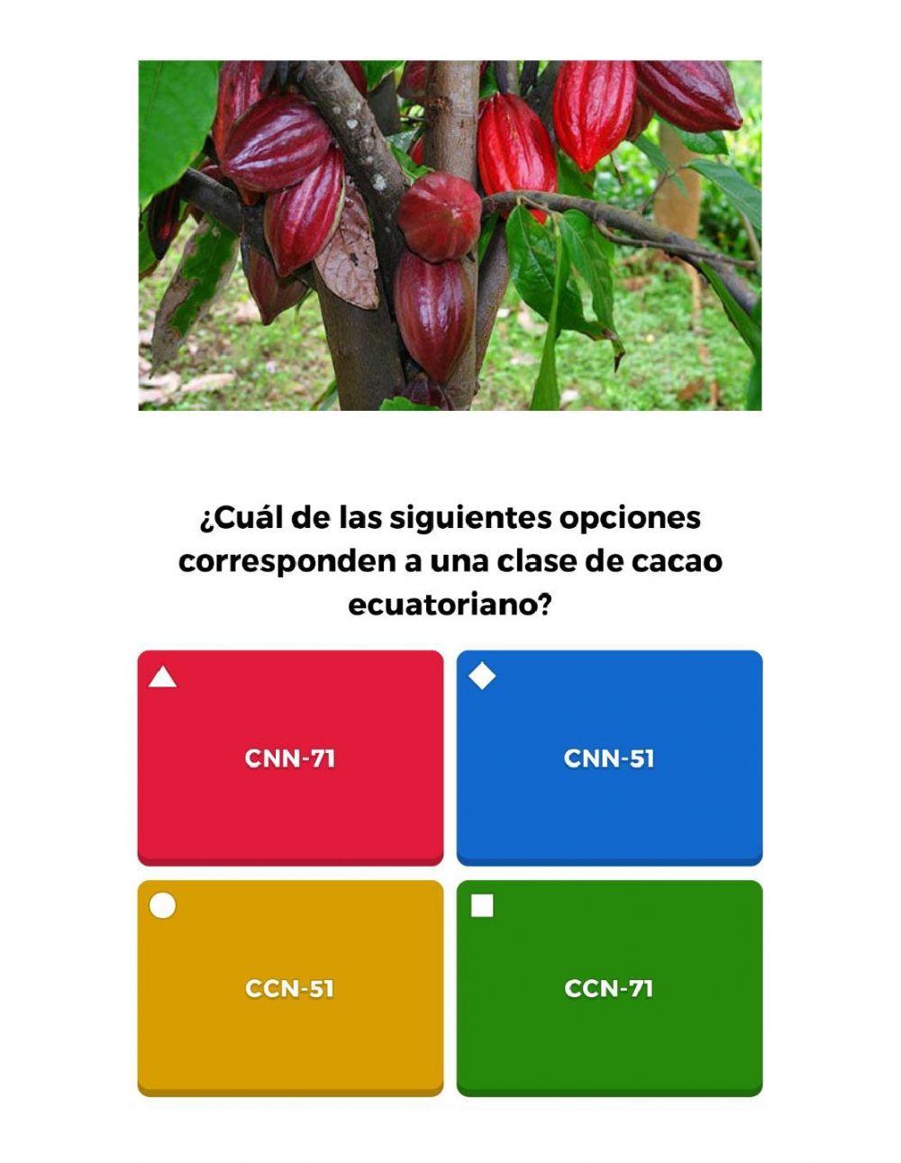 Boom cacaotero del ecuador