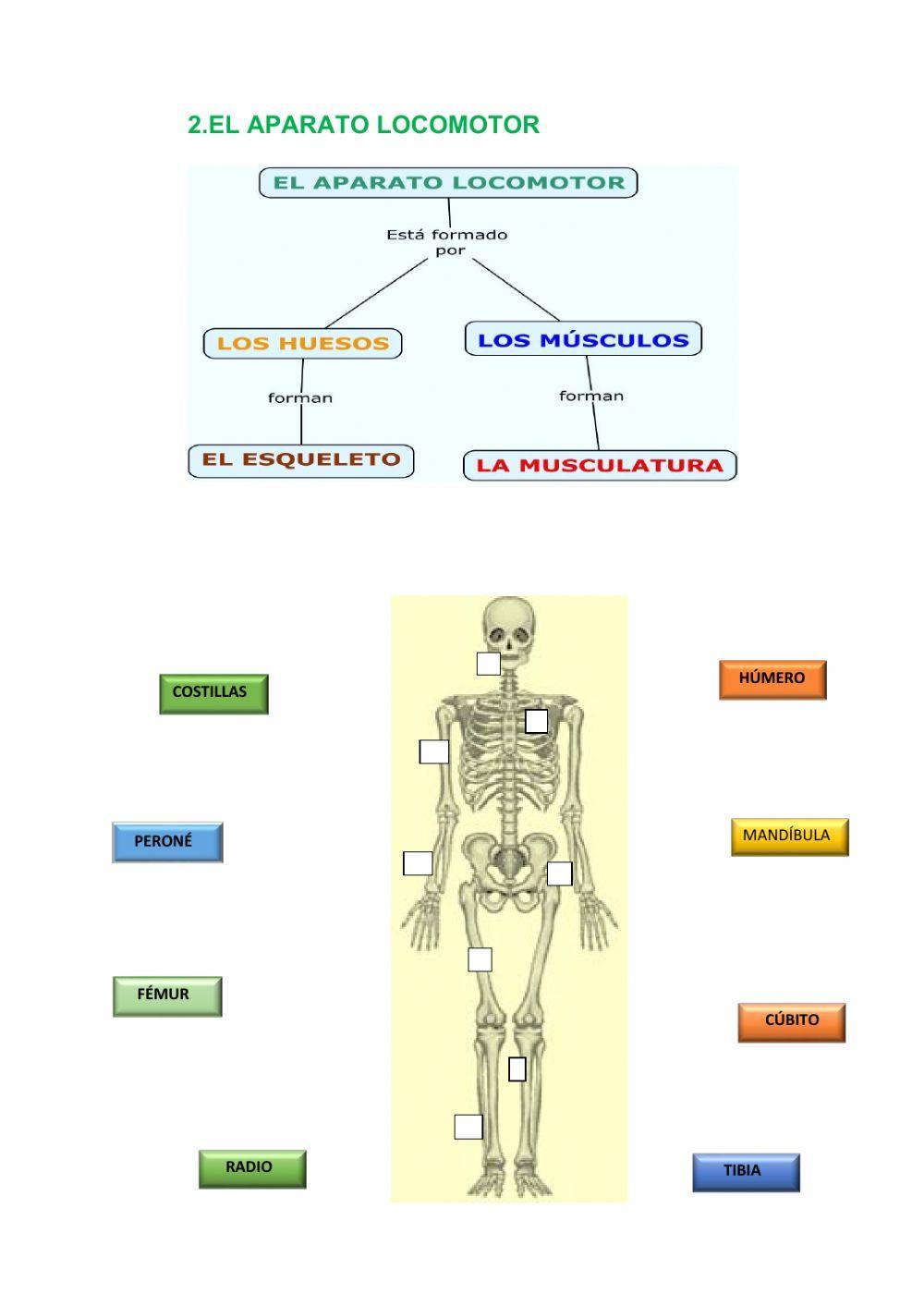 Función de relación