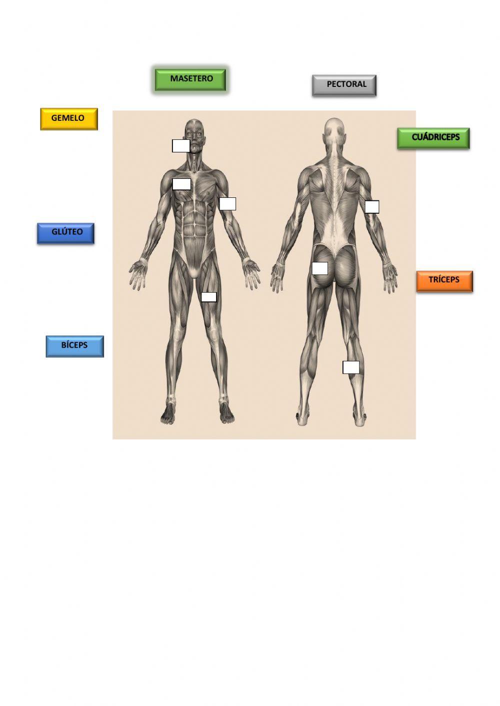 Función de relación