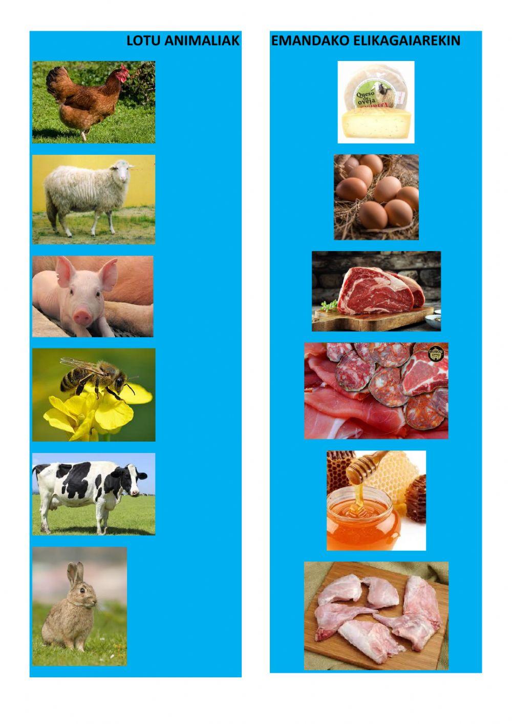 Animaliak eta elikagaiak