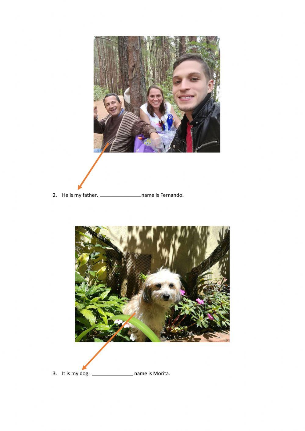 Possessive Adjectives