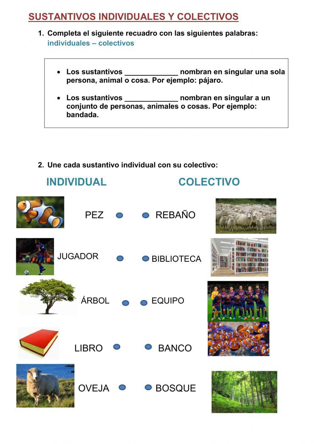 Sustantivos individuales y colectivos