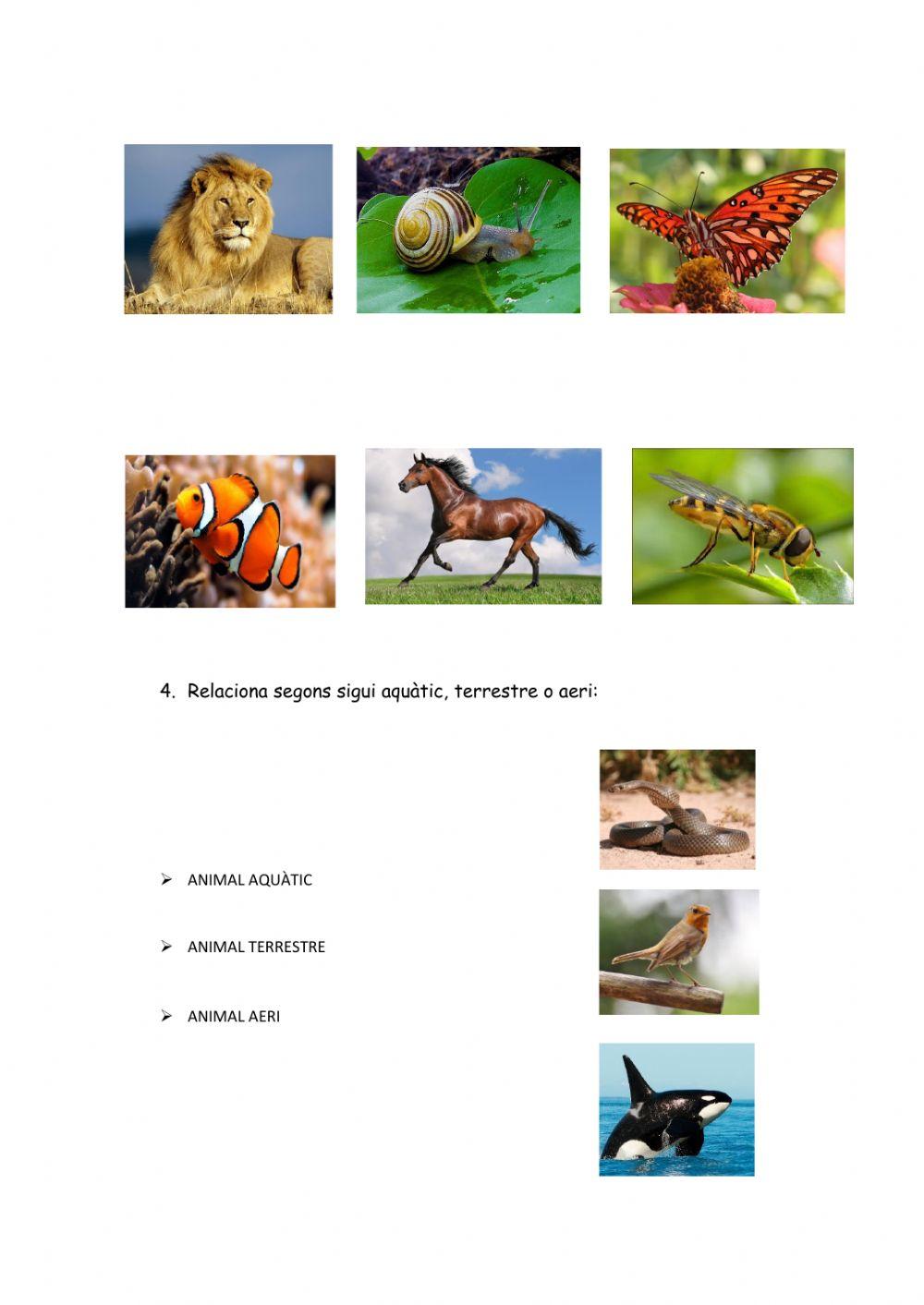 Bestioles per tot arreu