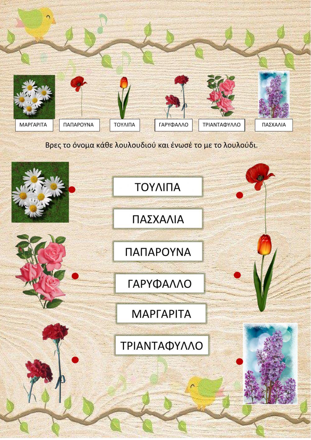 Λουλούδια της άνοιξης