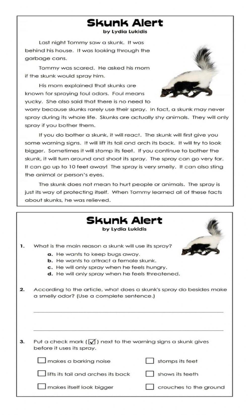 reading comprehension grade 2 -2