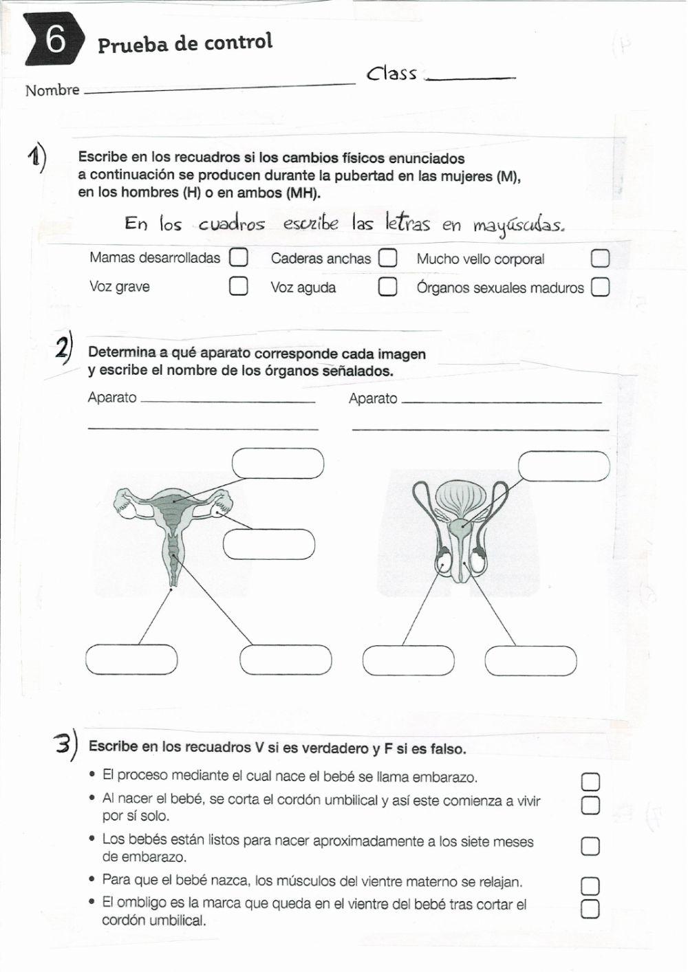 Aparato reproductor y embarazo unidad 6