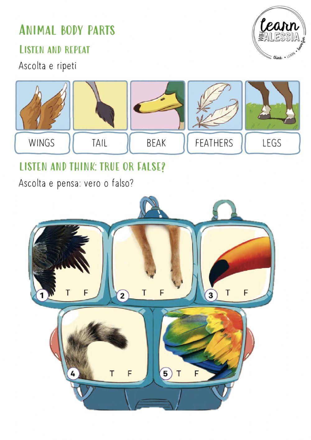 Animals Animals