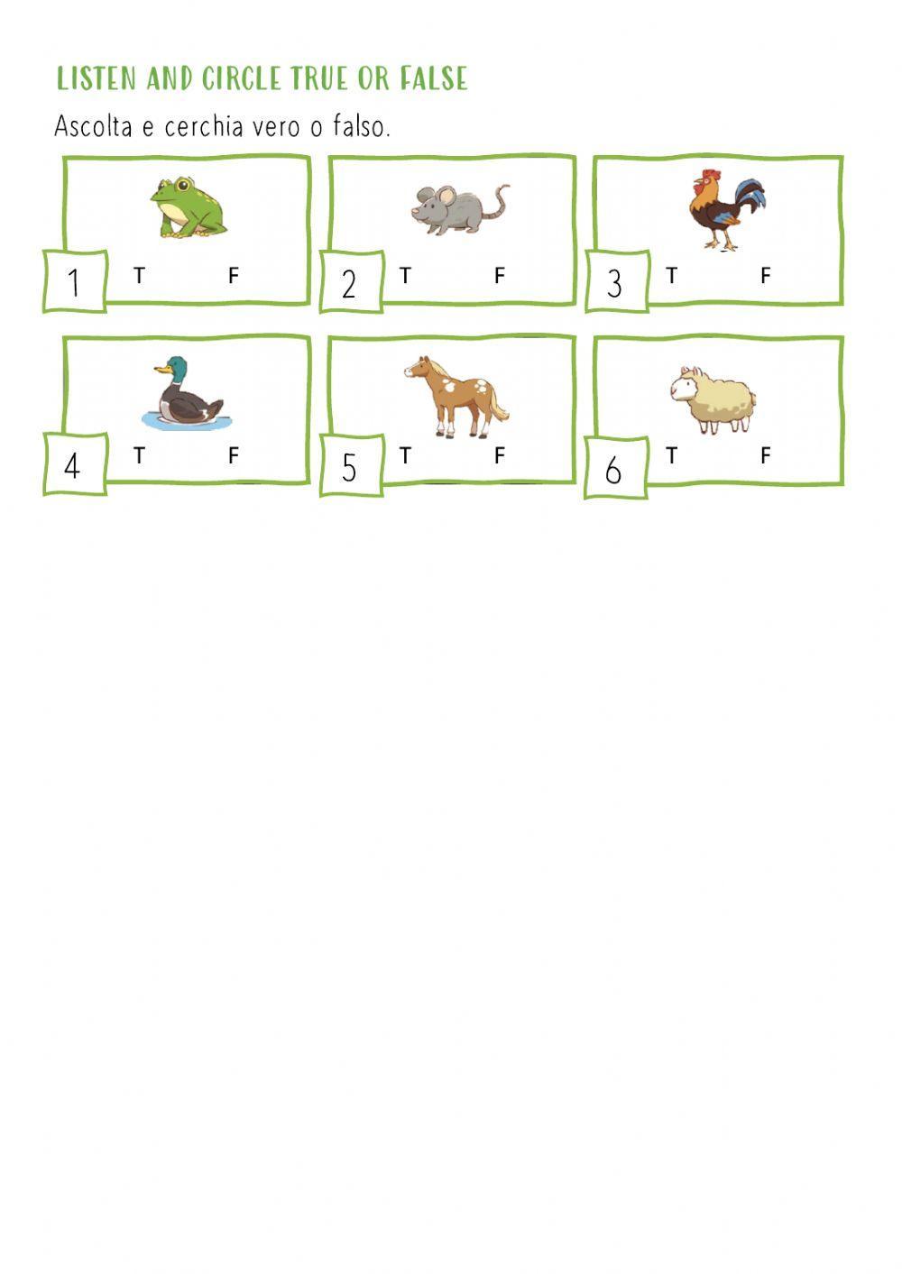 Animals Animals