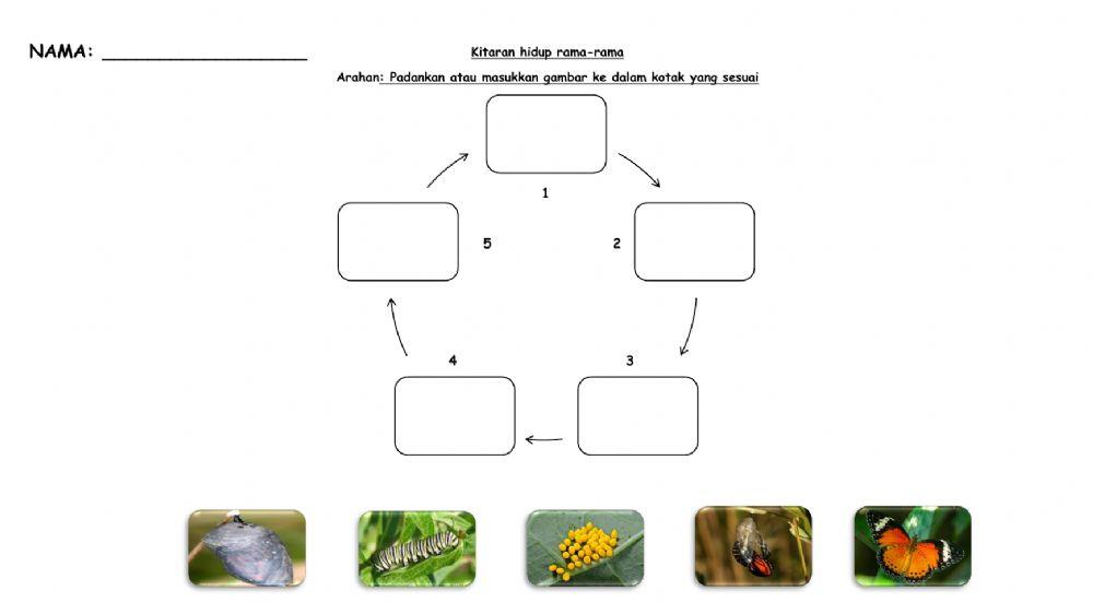 Sains Tahun 2 (Haiwan dan Tumbuhan)