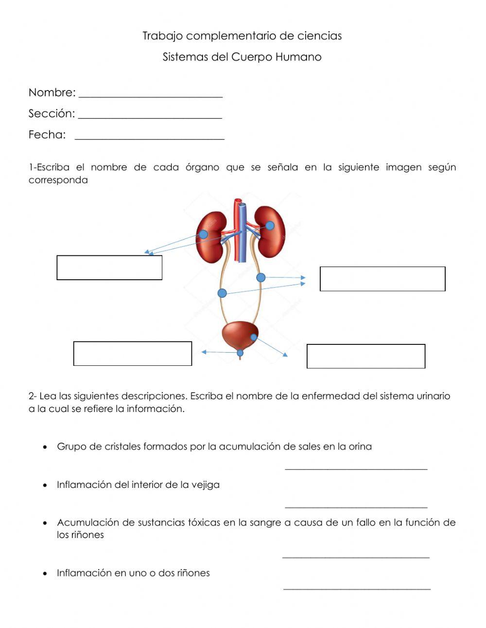 Trabajo complementario de ciencias-sistemas