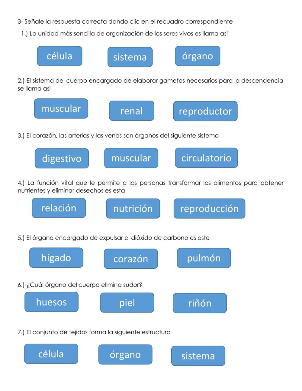 Trabajo complementario de ciencias-sistemas