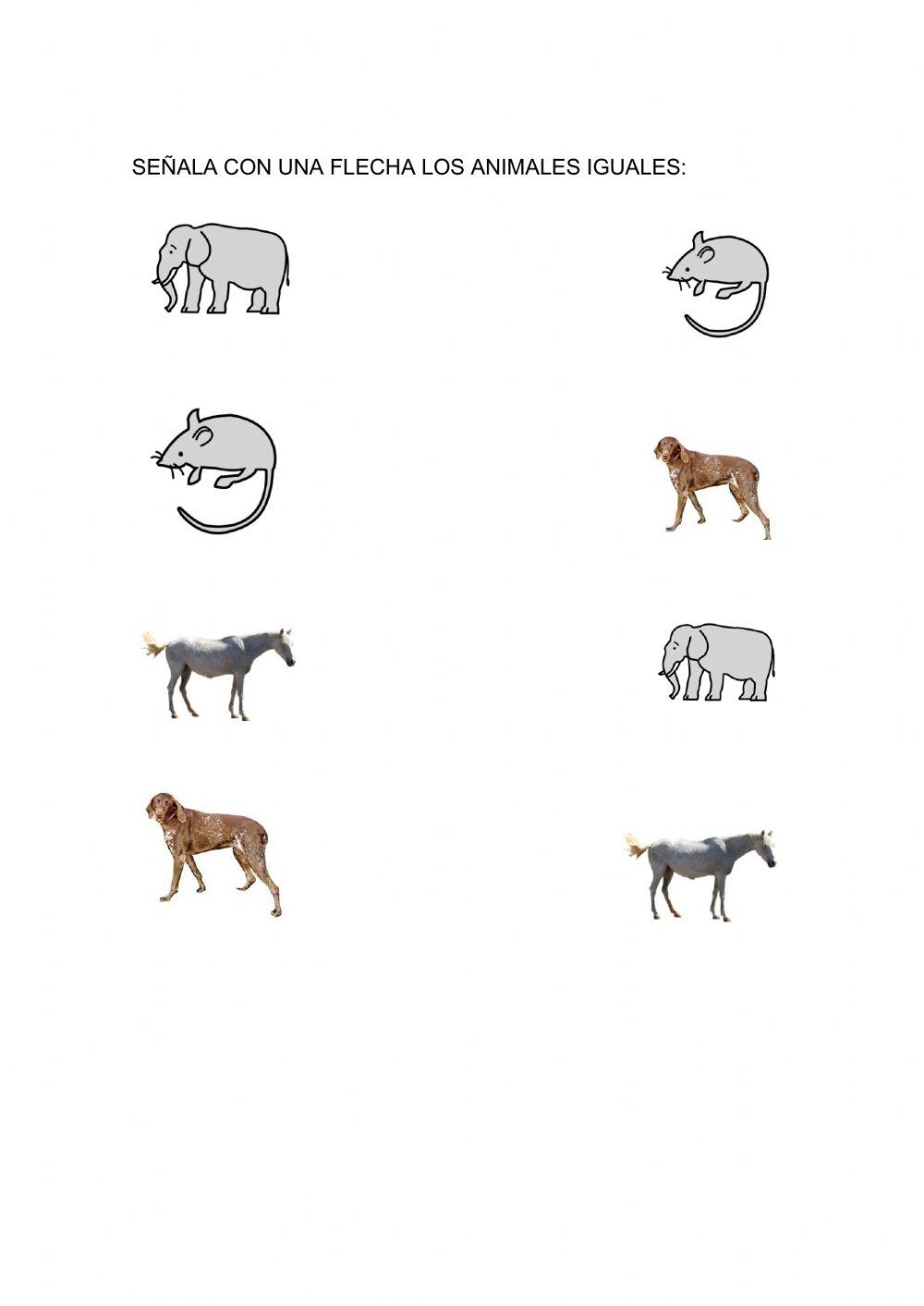 Asociar animal-animal