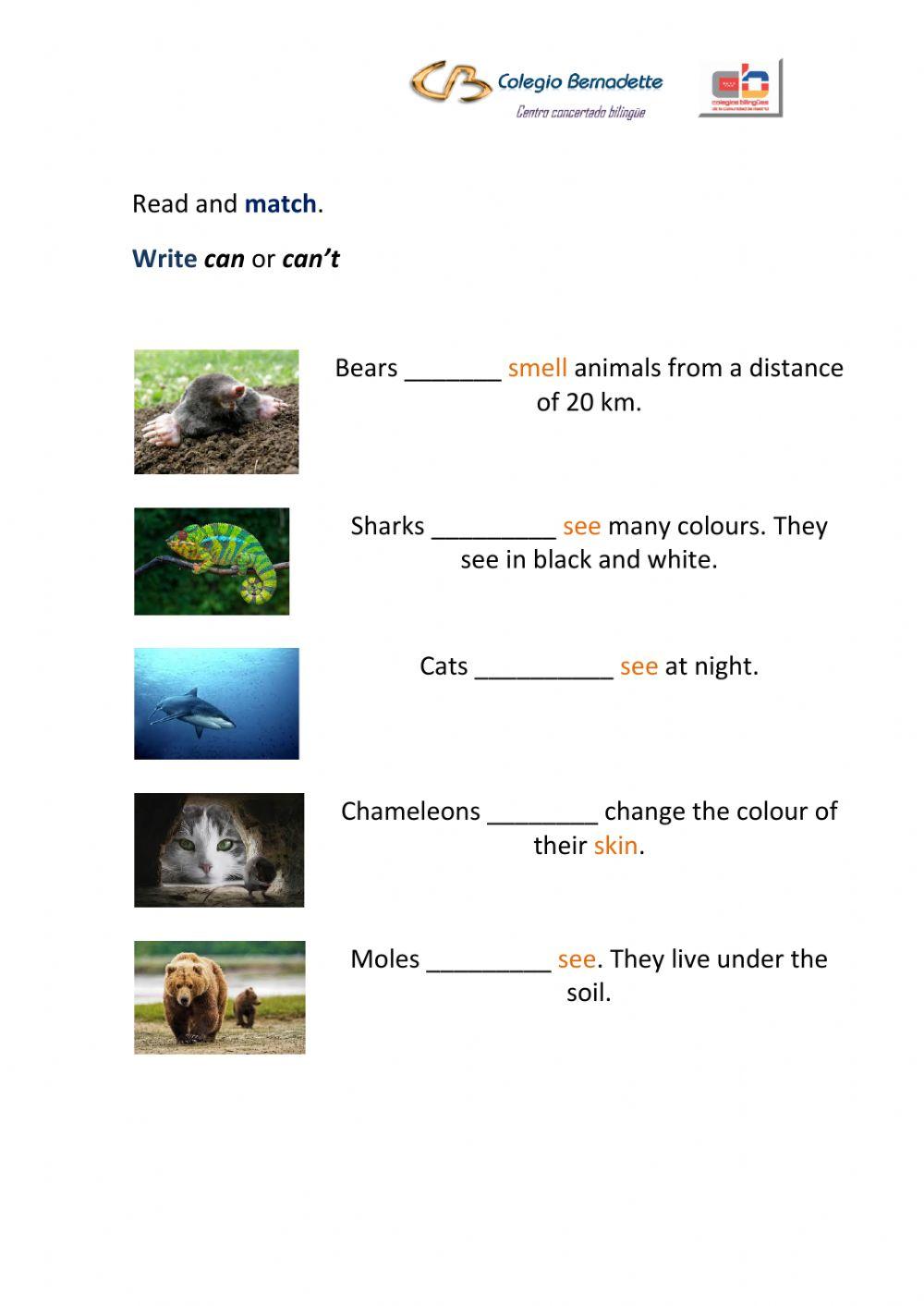 Animal facts
