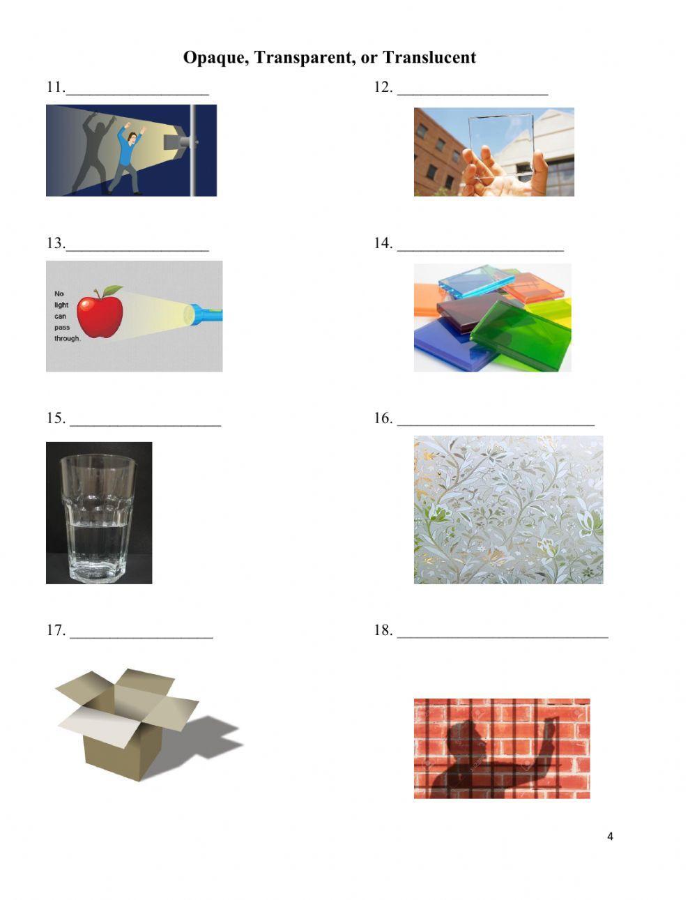 G3 Science Chapter 12 Quiz