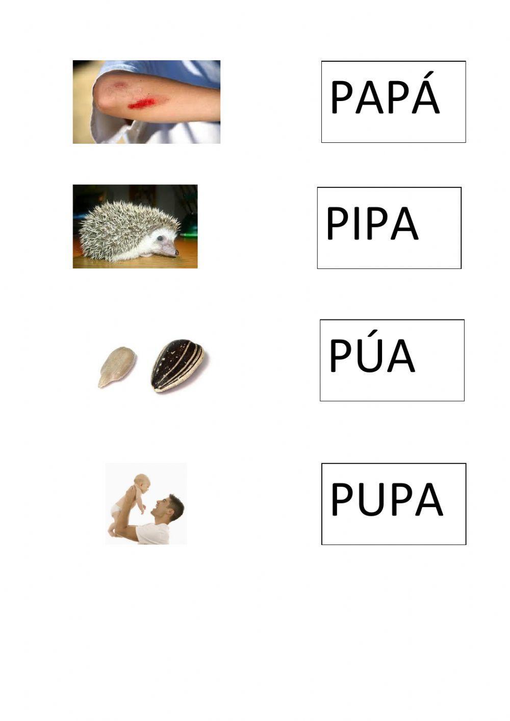 Unir con flechas palabras con p