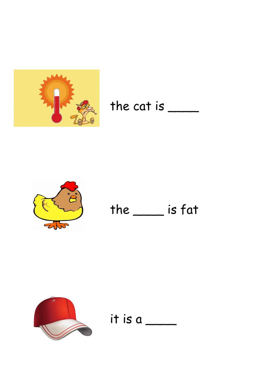 Look at picture and choose correct word