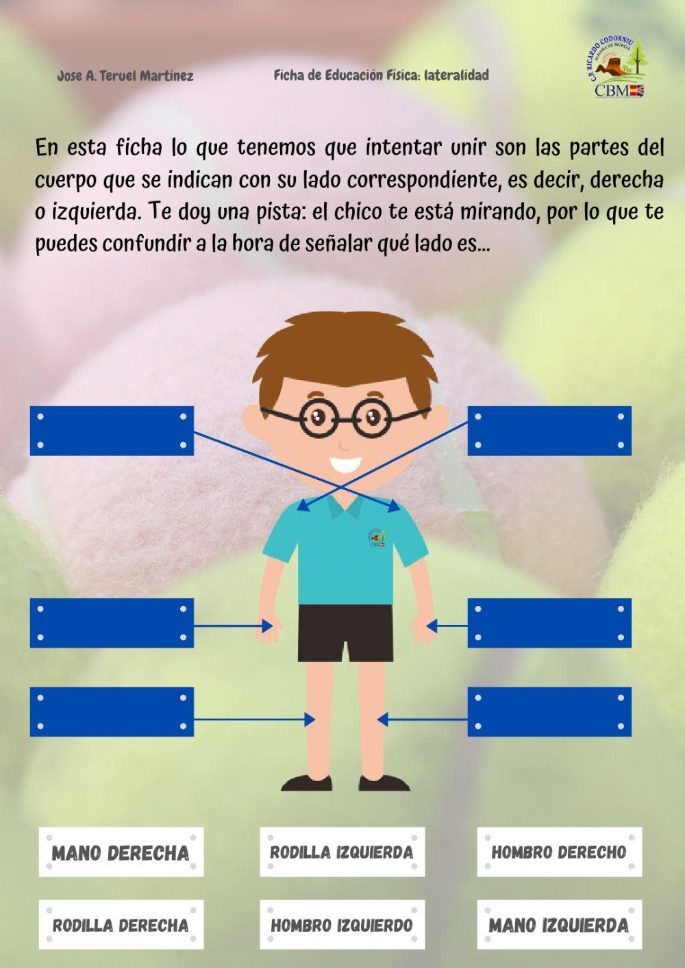 Los lados del cuerpo