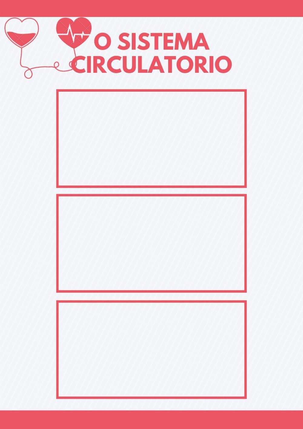 Vídeos sistema circulatorio