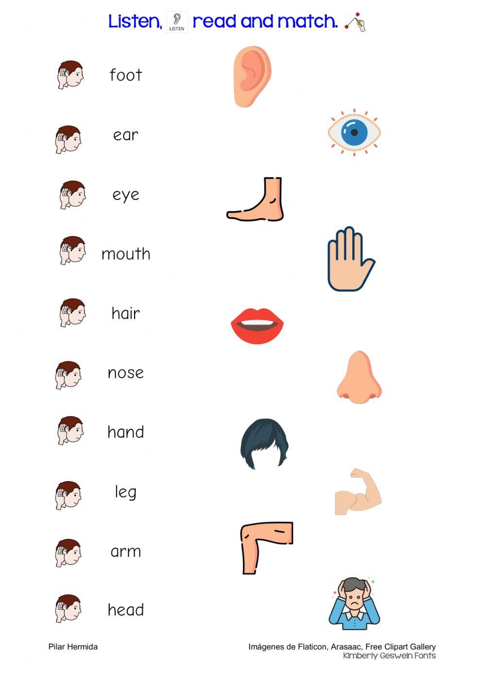 Vocabulary BODY listen and copy