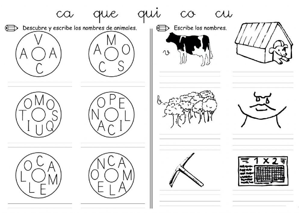 Las consonante -c- -q-