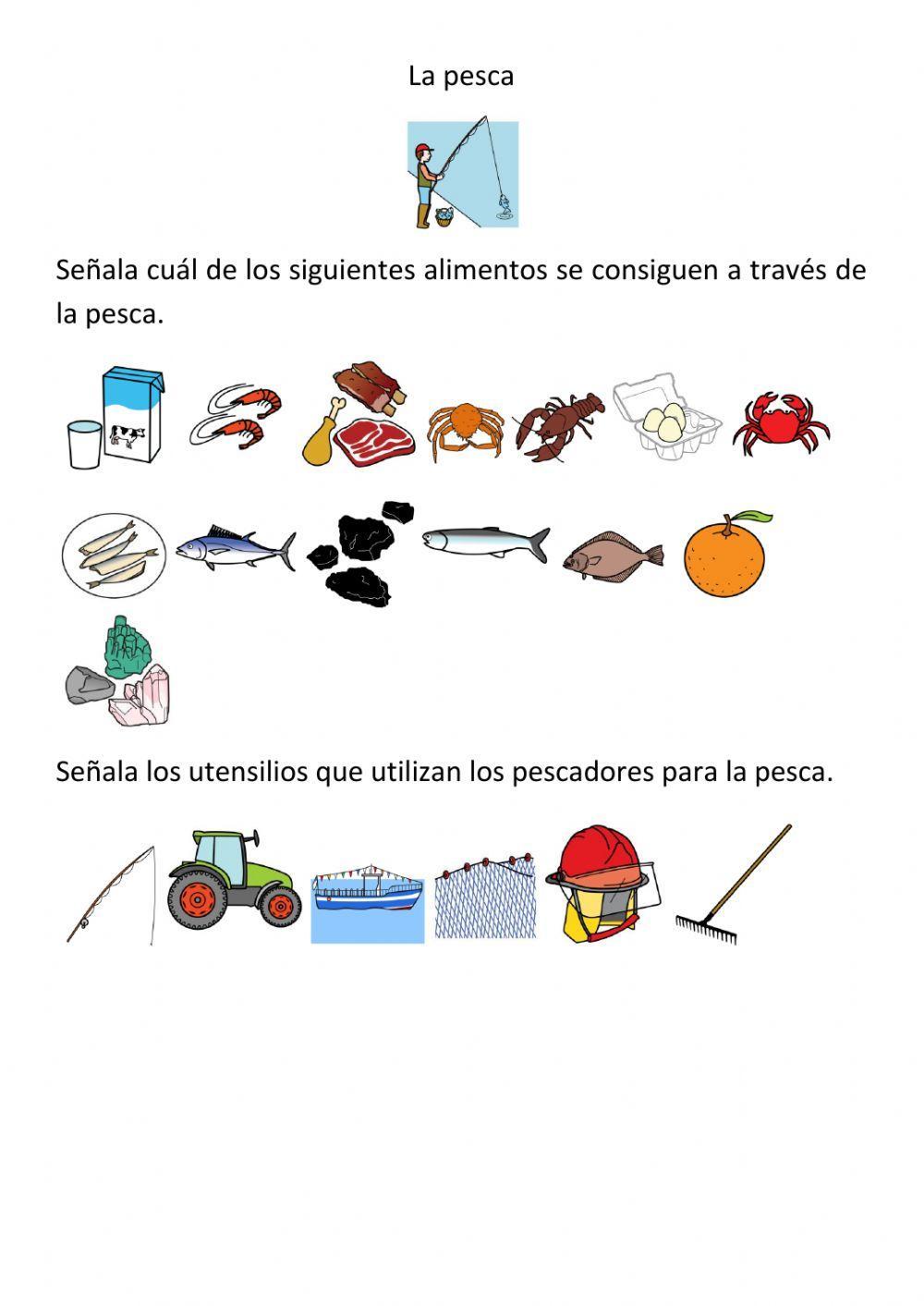 Sector primario. La pesca