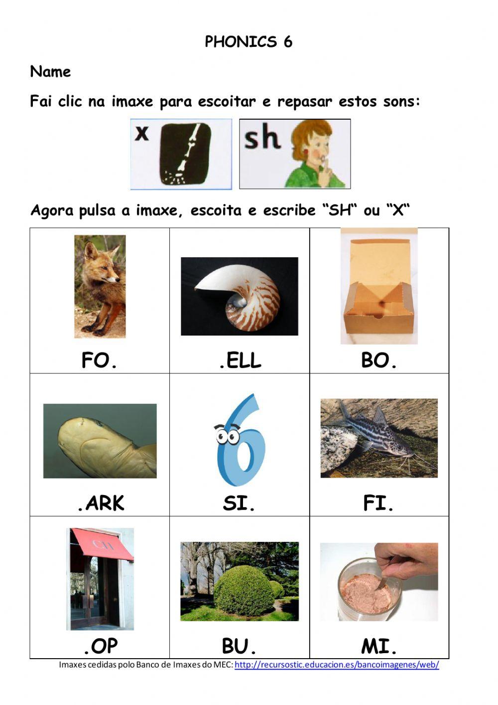 Phonics 6
