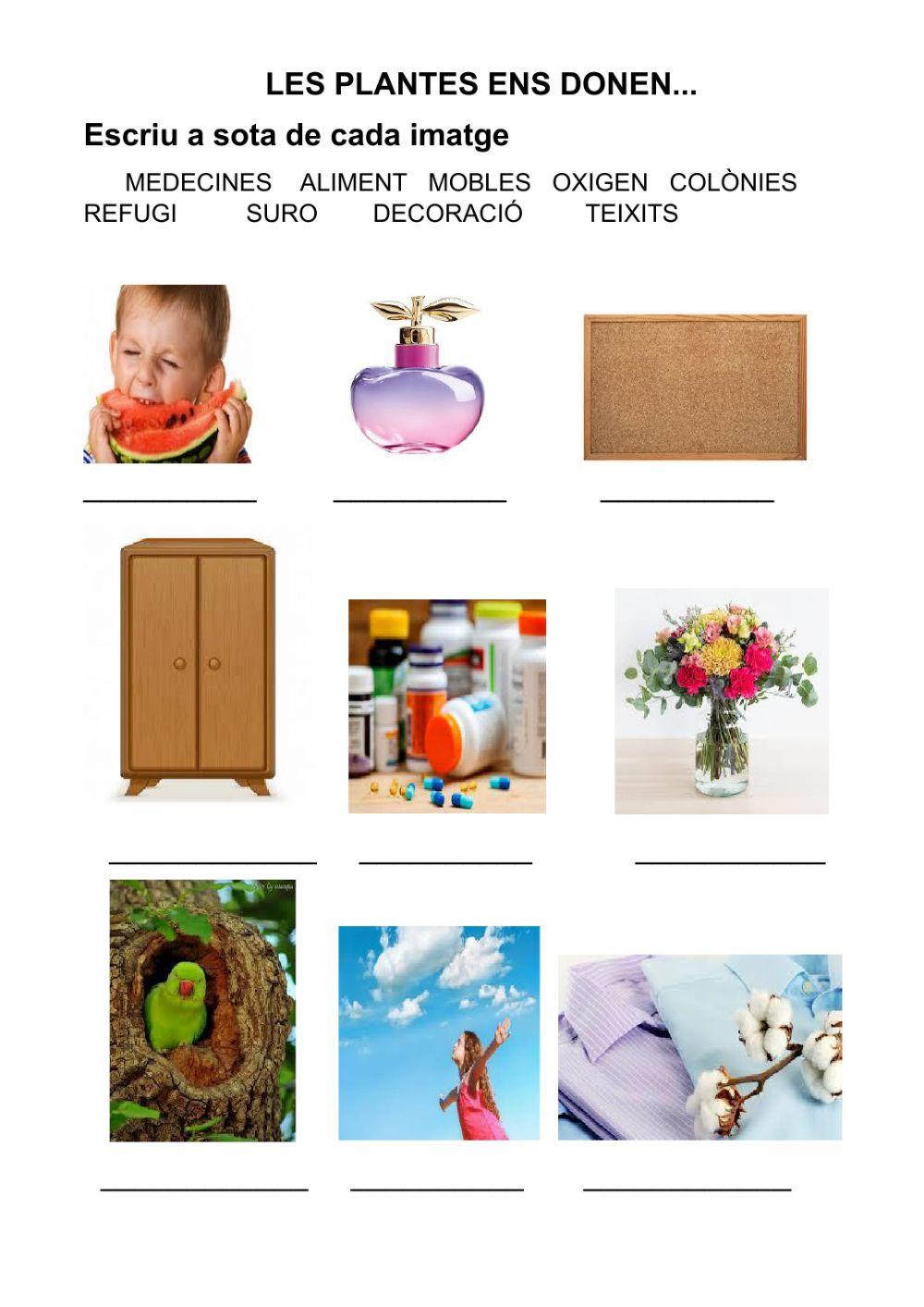 Les plantes ens donen