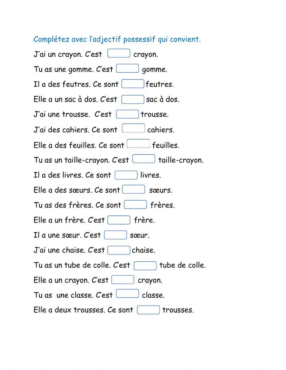 Adjectifs possessifs