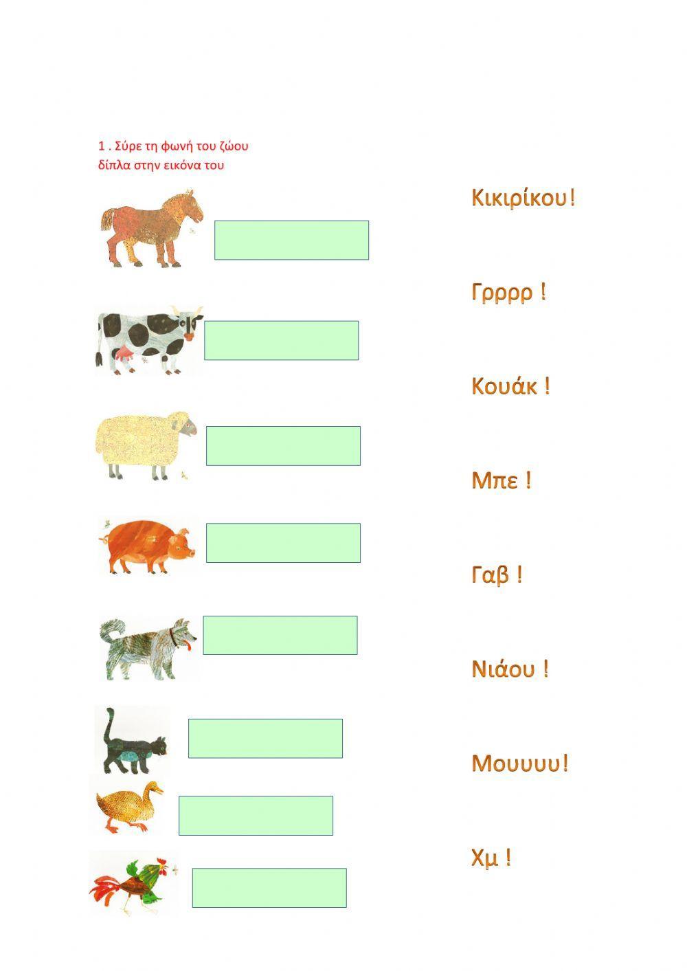 Μια πολυάσχολη αράχνη