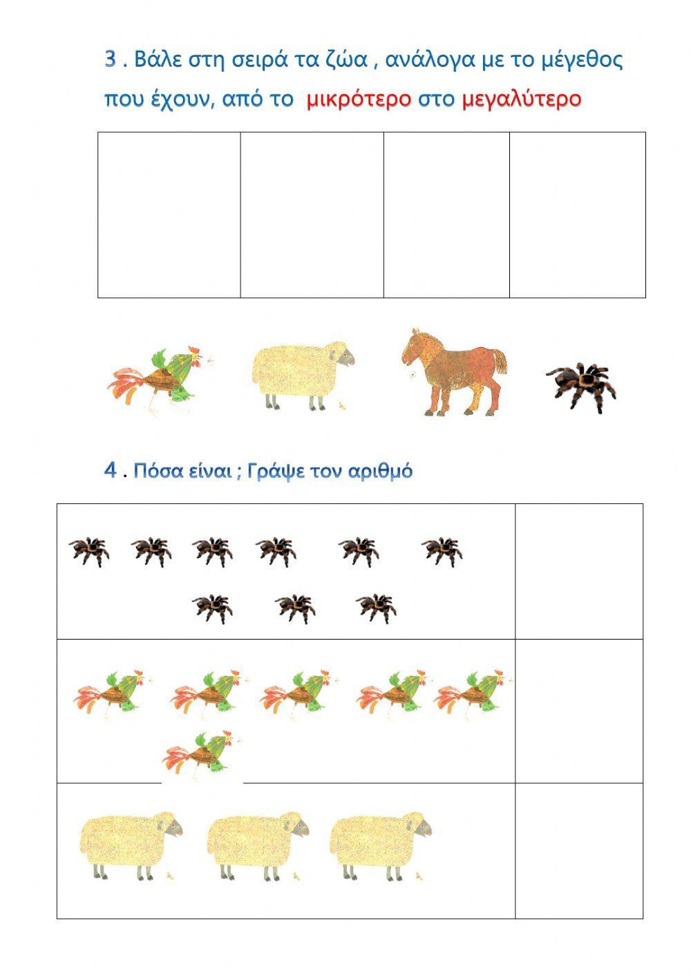 Μια πολυάσχολη αράχνη