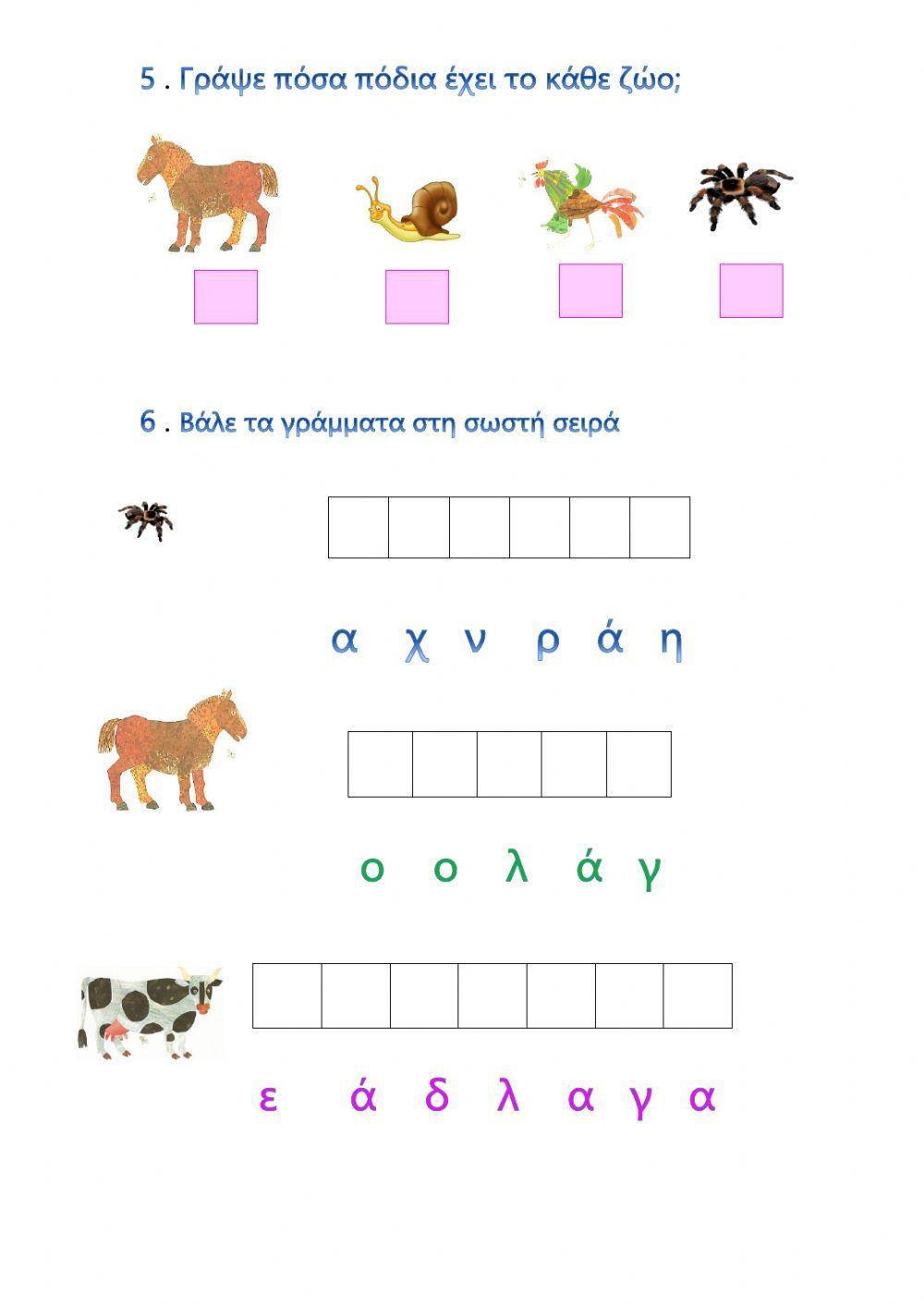 Μια πολυάσχολη αράχνη